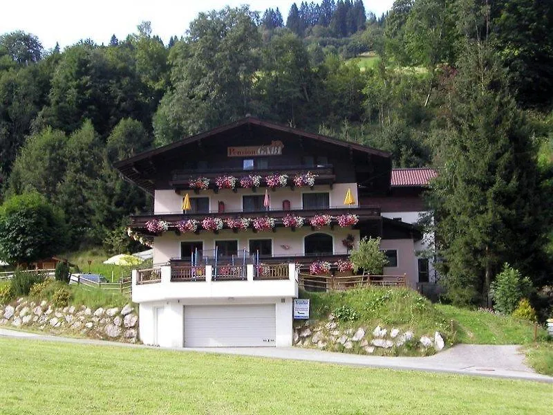 Pension Gabi Saalbach-Hinterglemm 3*,